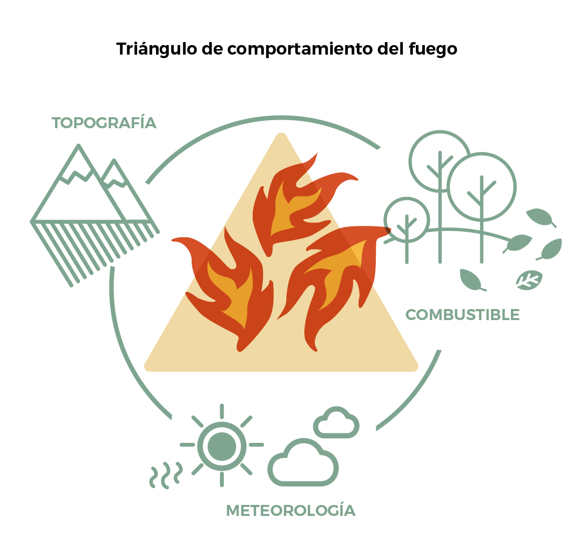 Peligro de incendio gestión del paisaje protege tu casa ES