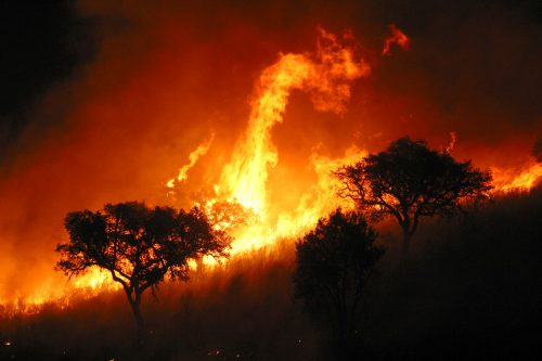 Incendio en la Sierra da Estrela, Portugal