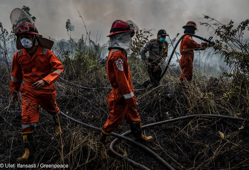 Espanya és un dels països de la Unió Europea que més es veu afectat pels incendis forestals, un problema que amenaça amb intensificar-se a causa dels efectes del canvi climàtic.