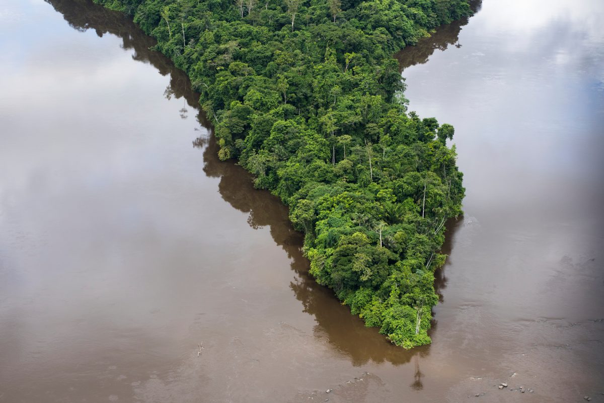 Vista aérea de la península boscosa en el río Jari, Brasil