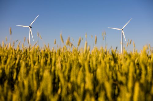 Turbinas eólicas y cultivos agrícolas