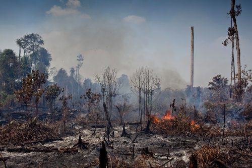 Incendios forestales en Sumatra
