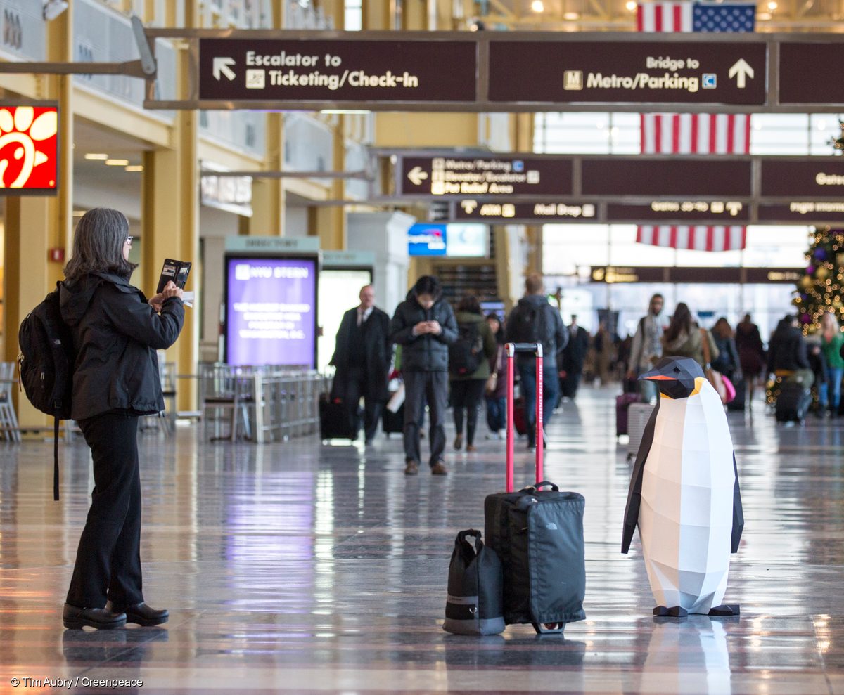 Pingüino de papel en el aeropuerto de Washington 