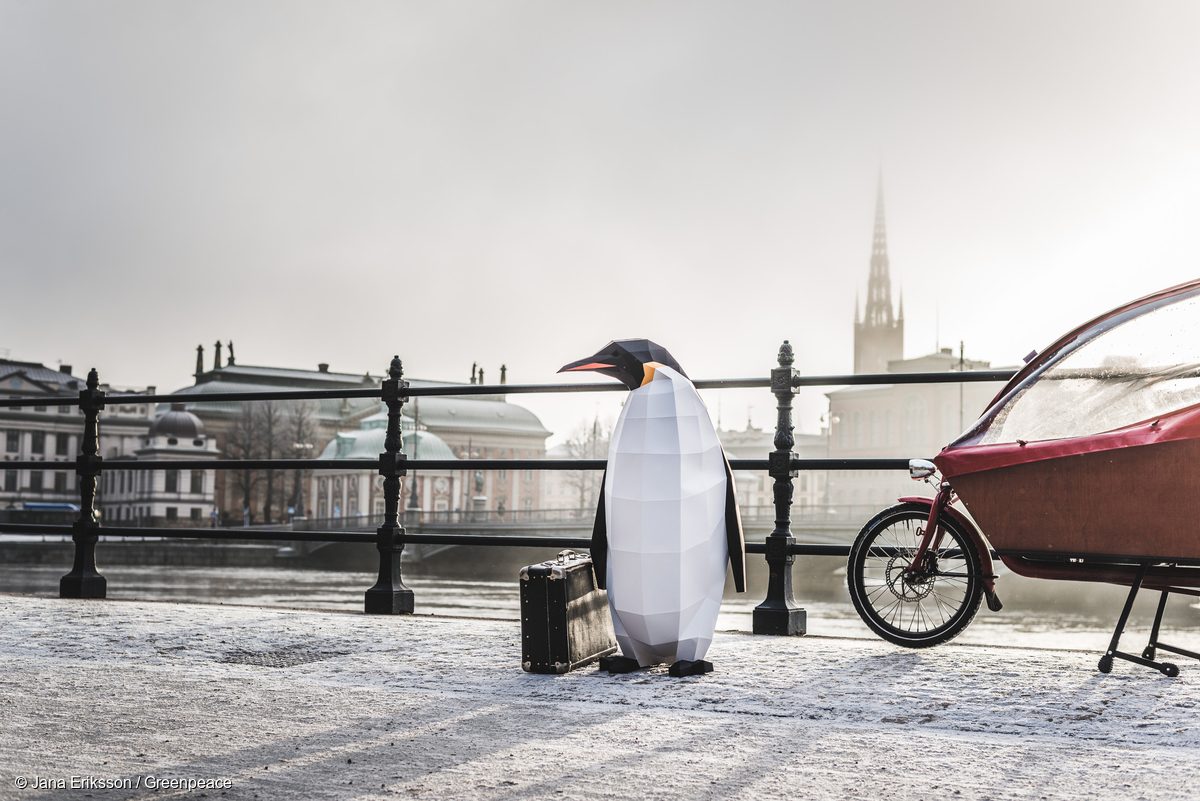 Pingüino de papel en Estocolmo
