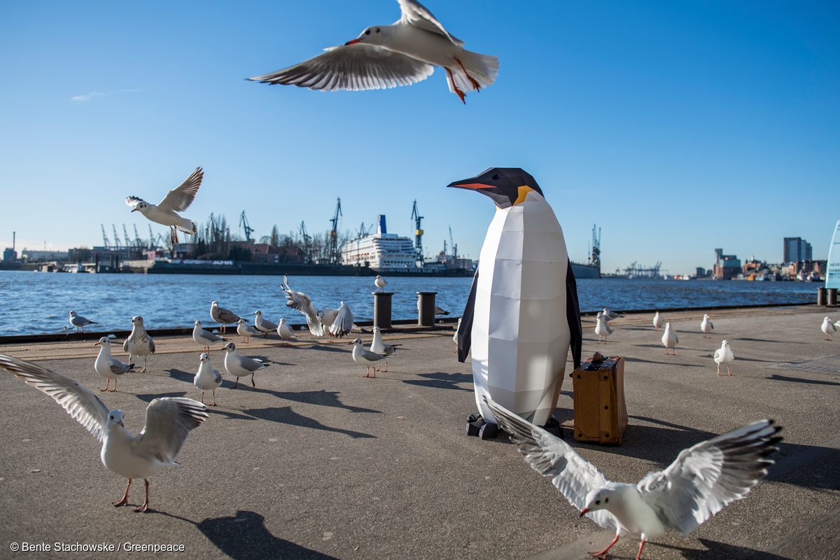 Pingüino de papel en Hamburgo rodeado de gaviotas