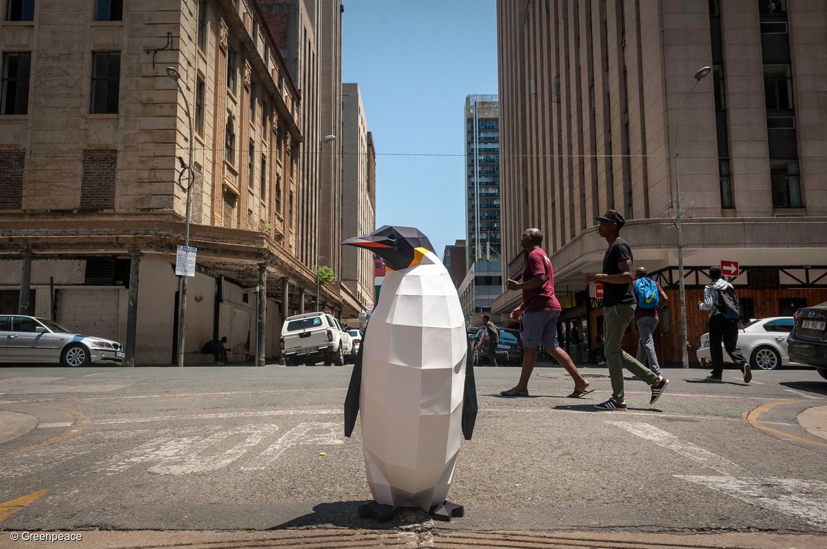 Pingüino de papel en Johanesburgo. 