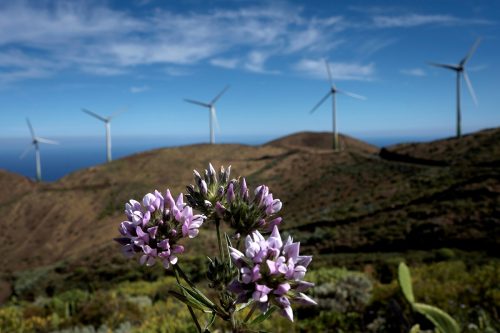 molinos de viento en la isla de El Hierro