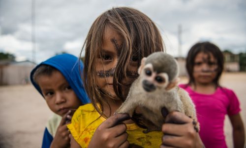 niños con mono en brasil - tapajos