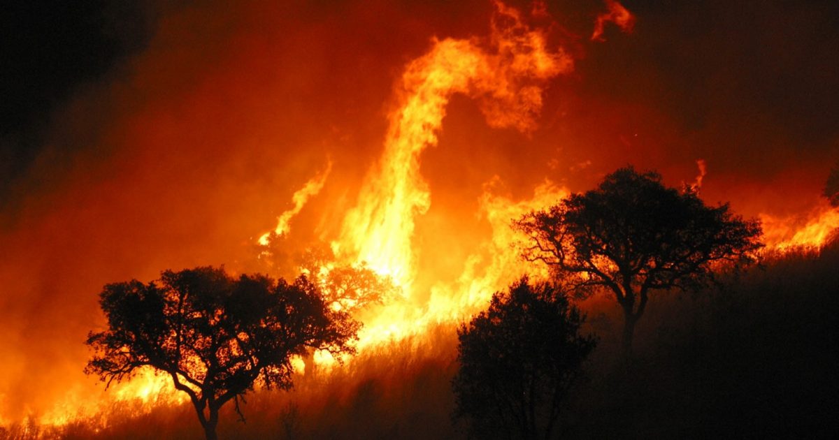 Cada vez más incendios devastadores, ¿Qué está pasando? - ES | Greenpeace  España
