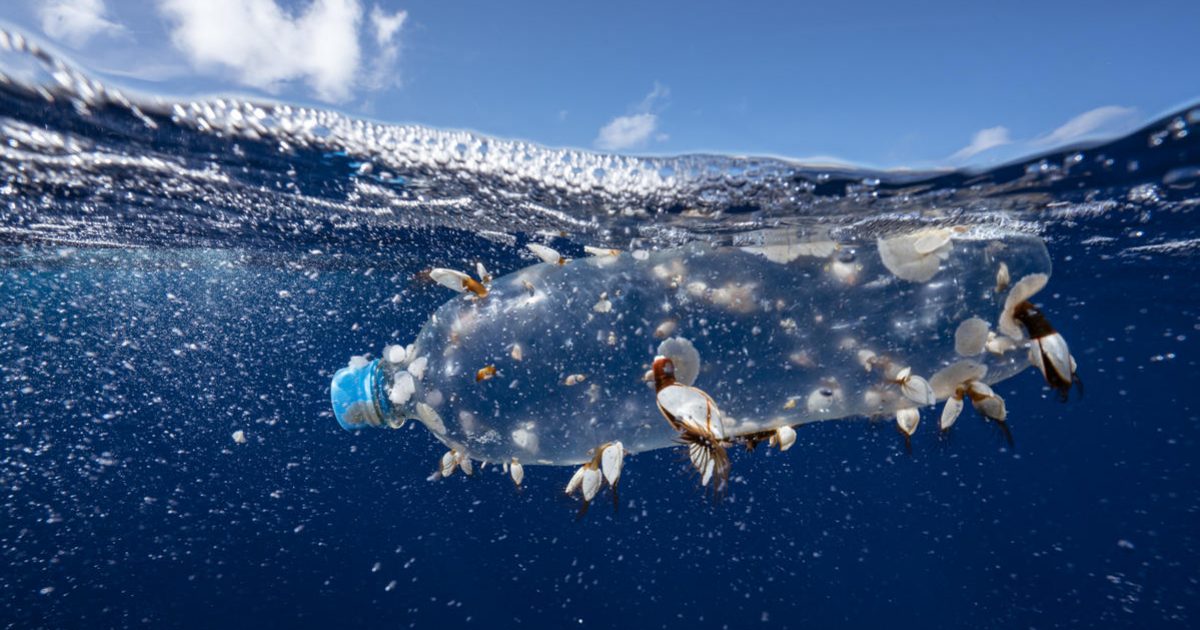 La verdad sobre las pajitas de plástico: ¿un pequeño gesto con grandes  consecuencias?