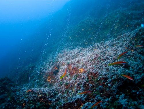 Minería en el mar