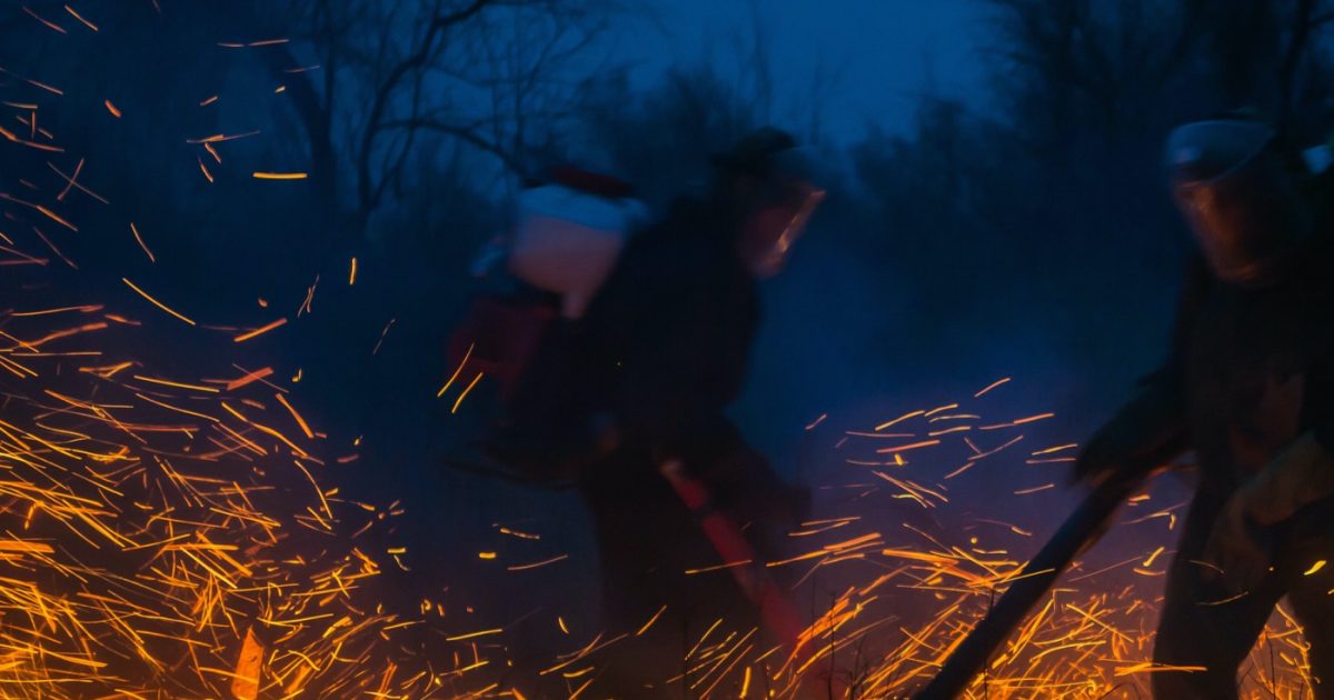 Qué Sabemos Hasta Ahora De Los Incendios En Siberia Es Greenpeace