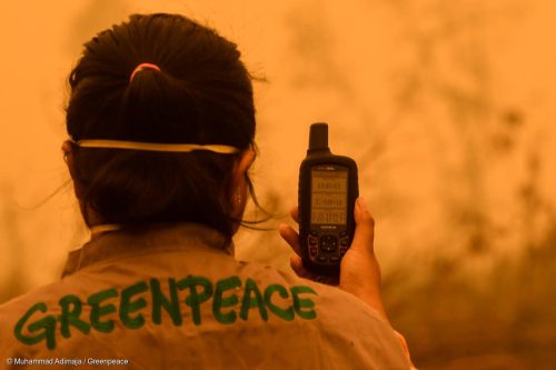Greenpeace en incendio