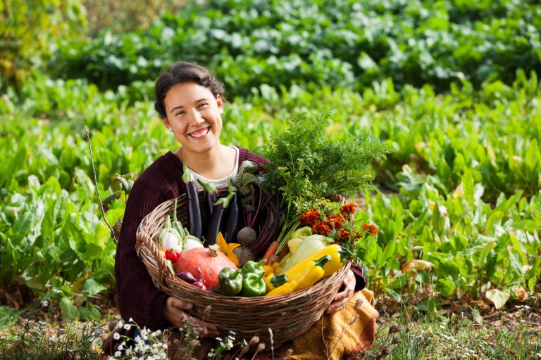 Cuatro Pasos Para Un Sistema Alimentario Justo Y Sostenible En La Ue Es Greenpeace España 3755