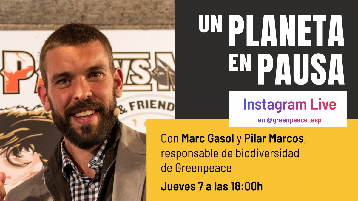 Directo Con Marc Gasol Sobre Medioambiente - ES | Greenpeace España ...