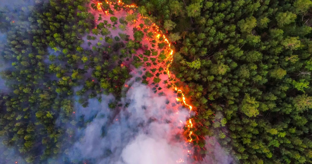 Los incendios forestales se ceban con Siberia - ES | Greenpeace España