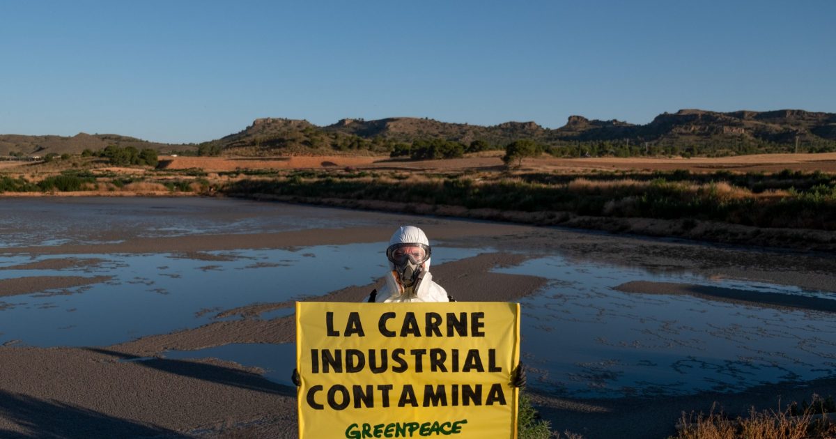 Greenpeace exige el fin de la ganadería industrial, tras el ultimátum de la Comisión Europea por la contaminación del agua