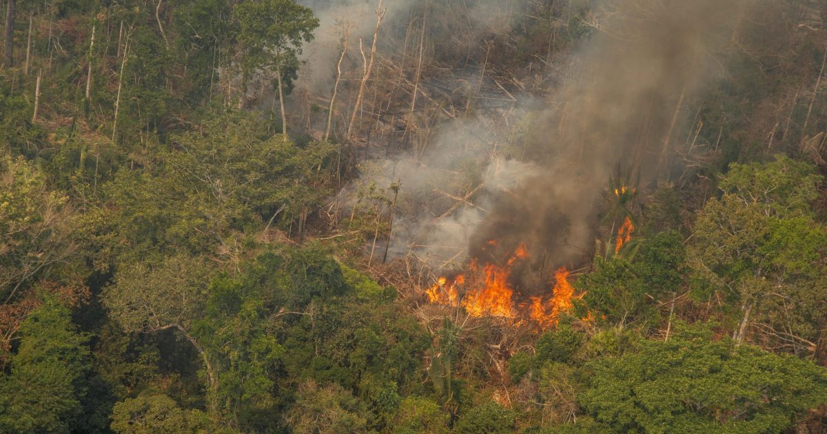 Los Incendios En La Amazonía Siguen Fuera De Control Pese A La