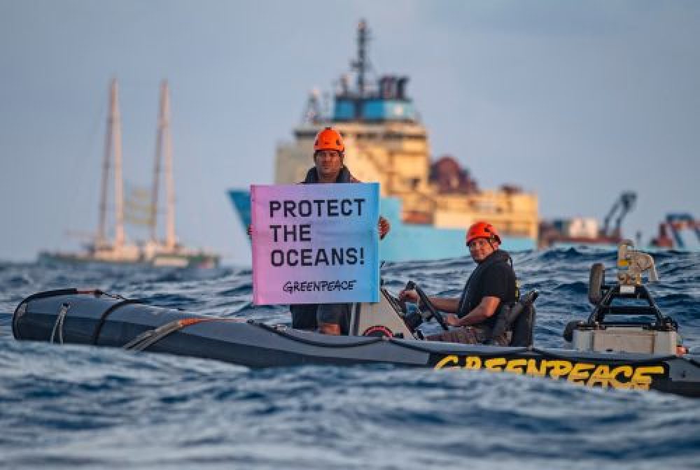 Comunicados De Prensa Greenpeace España Es Greenpeace España