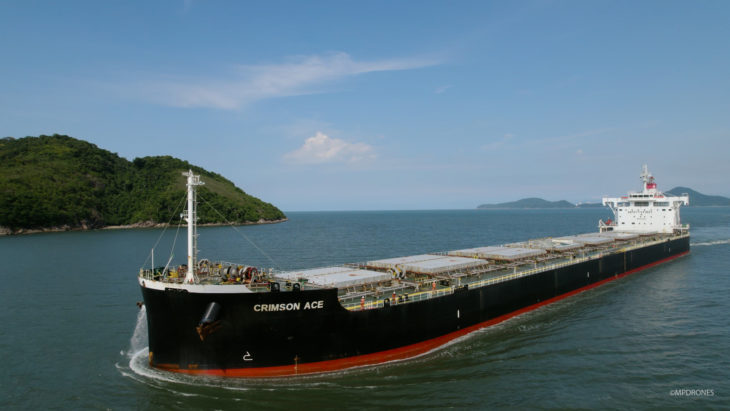 Un buque que navega rumbo a Europa cargado de soja brasileña, símbolo de la destrucción provocada por la importación de materias primas. ¡Detengan la destrucción!