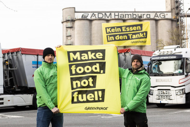 Protesta en Hamburgo contra los alimentos como biocombustibles