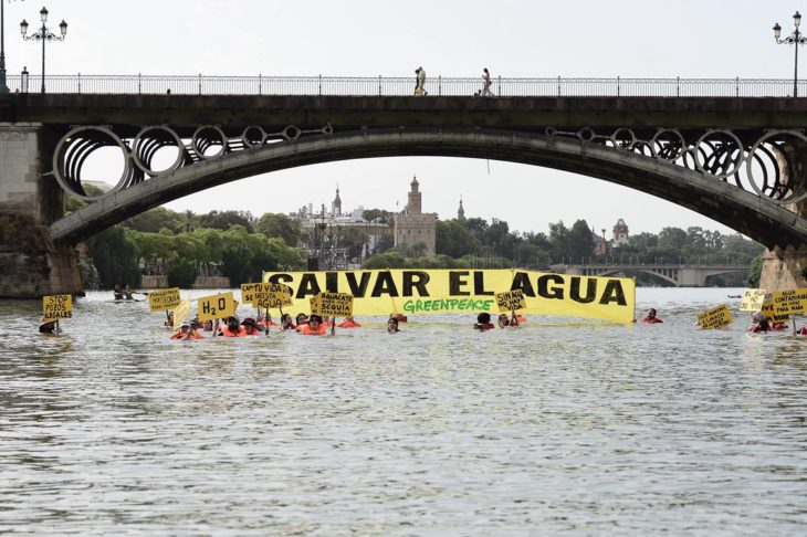 ManifestaciÃ³n acuÃ¡tica en Sevilla para 'Salvar el agua'