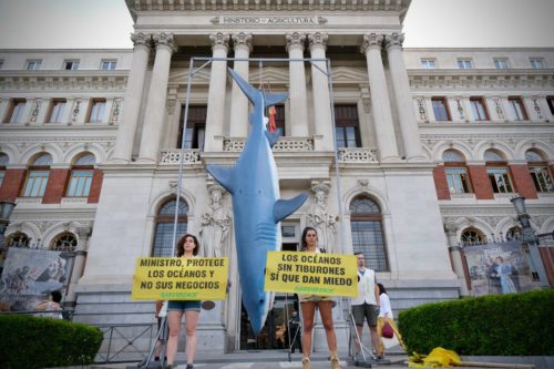Un tiburón de 5 metros denuncia el 'bluewashing' del Gobierno en el Día de los Océanos. Greenpeace / Pedro Armestre