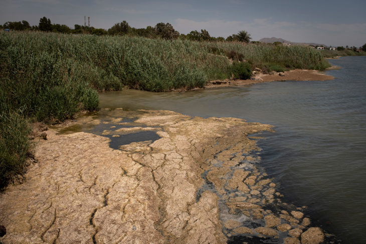 Exceso de agua con vertidos agrícolas en la rambla del Albujón, Los Alcázares.