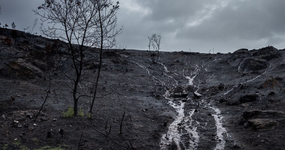 Medidas necesarias para evitar el 'chapapote de monte' - ES ...