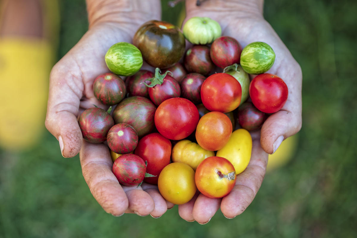 Frutas y verduras de temporada