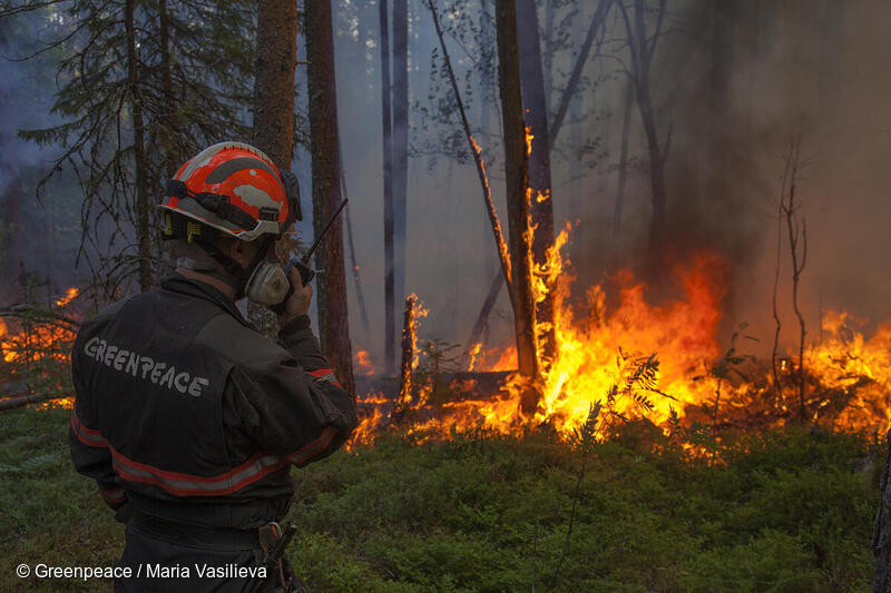Extinguir un incendio en la reserva Denezhkin Kamen