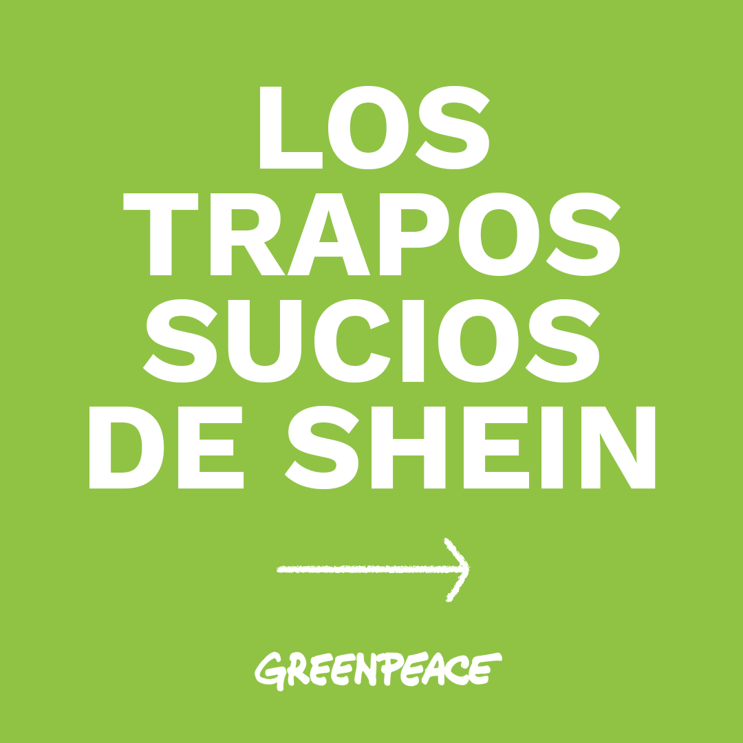 SHEIN: Toxicidad a todo trapo - ES | Greenpeace España