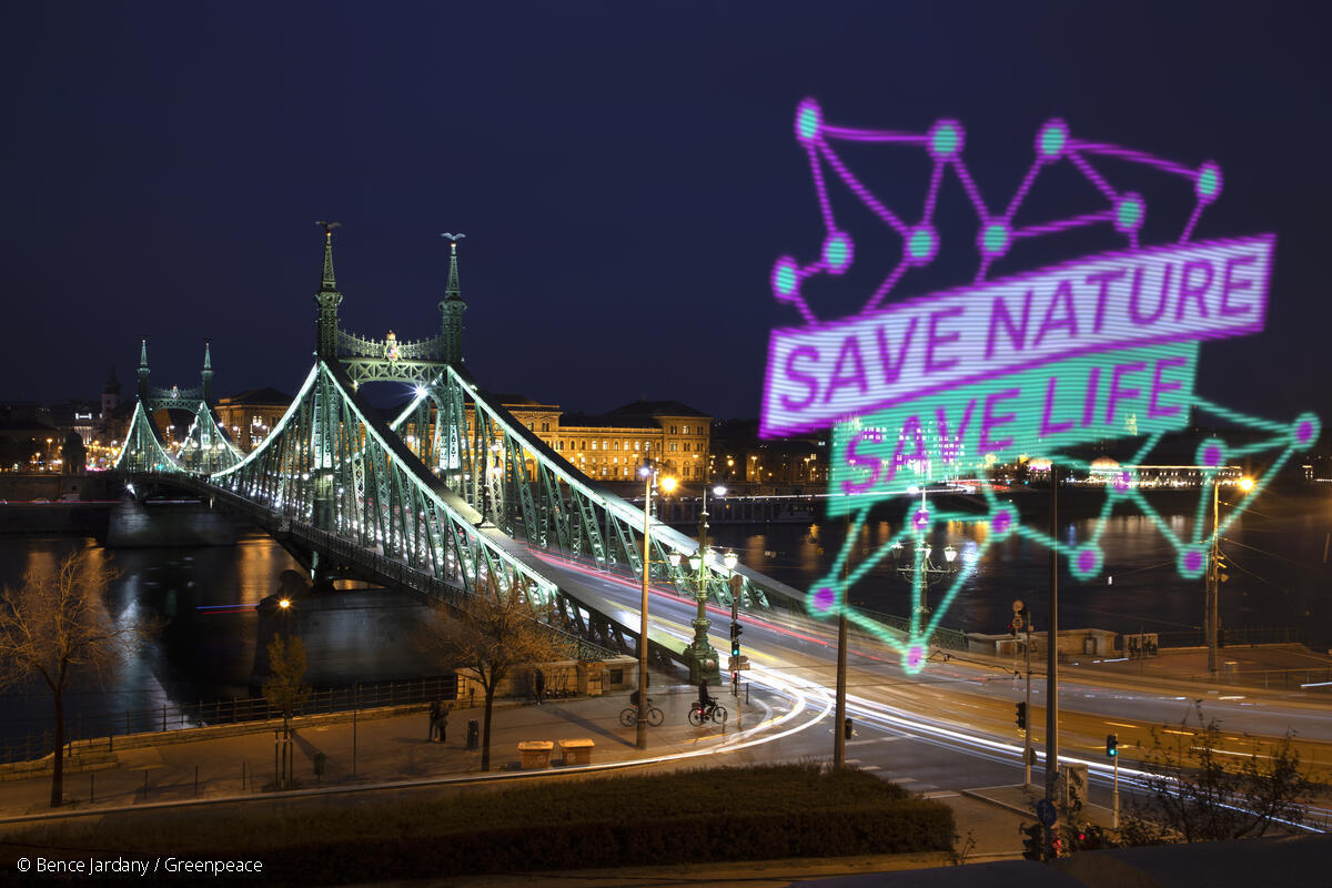 Save Nature - Save Life Action in Hungary