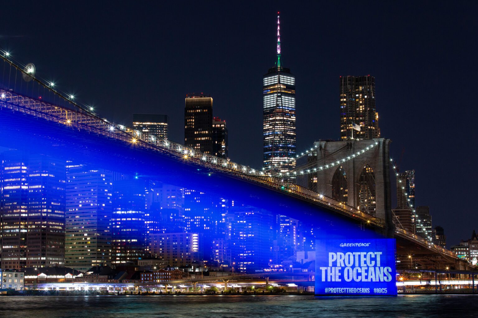 Activistas de Greenpeace USA proyectaron escenas de belleza y fragilidad de los océanos del mundo en el icónico puente de Brooklyn en Nueva York. © POW / Greenpeace