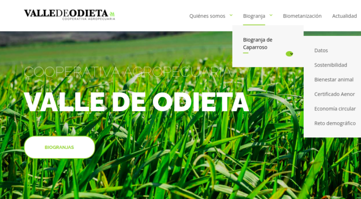 Captura reciente de la web de Valle de Odieta, donde se definen irregularmente como "biogranja".