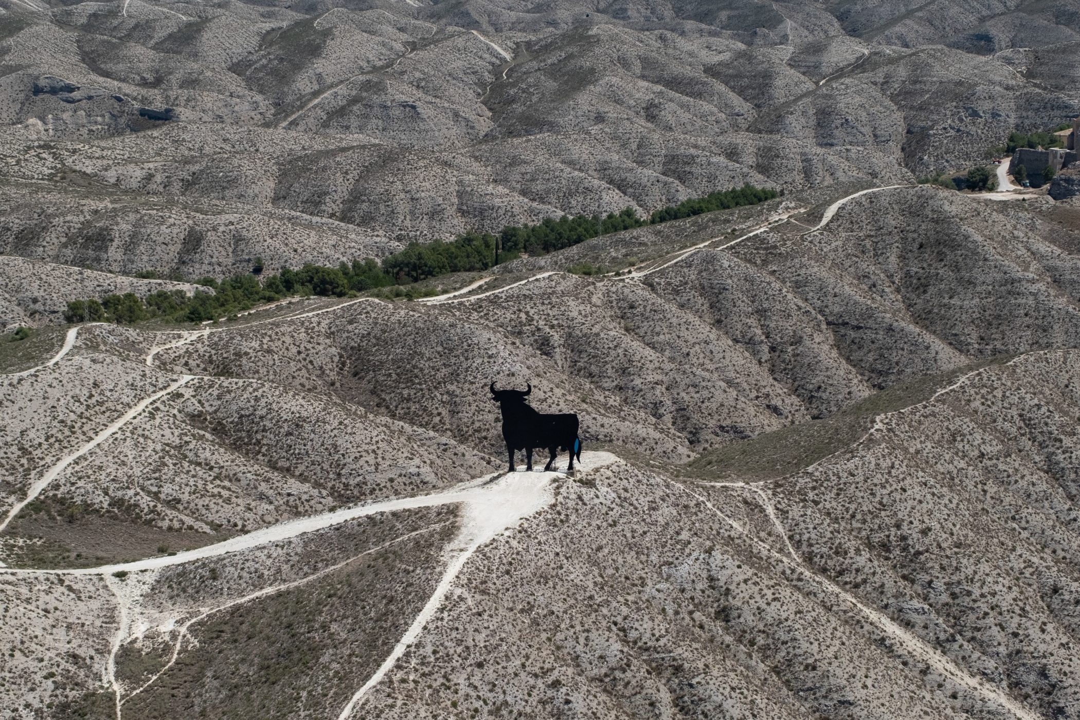 Un 'toro de Osborne' en medio del desierto, Alfajarín, Zaragoza, Aragón, España. ©Greenpeace/Pedro Armestre
