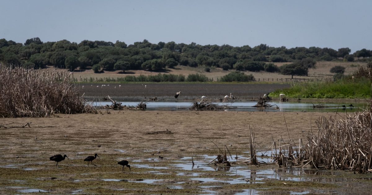2 febrero, Día de los Humedales: los espacios más amenazados - ES ...