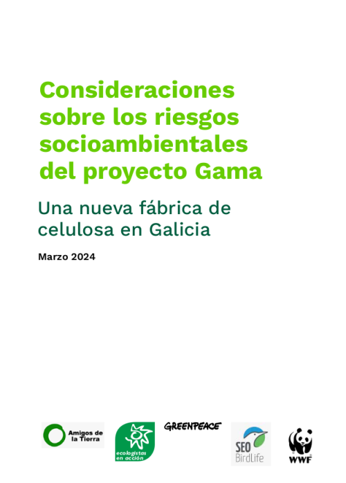 Consideraciones sobre los riesgos medioambientales del proyecto Gama