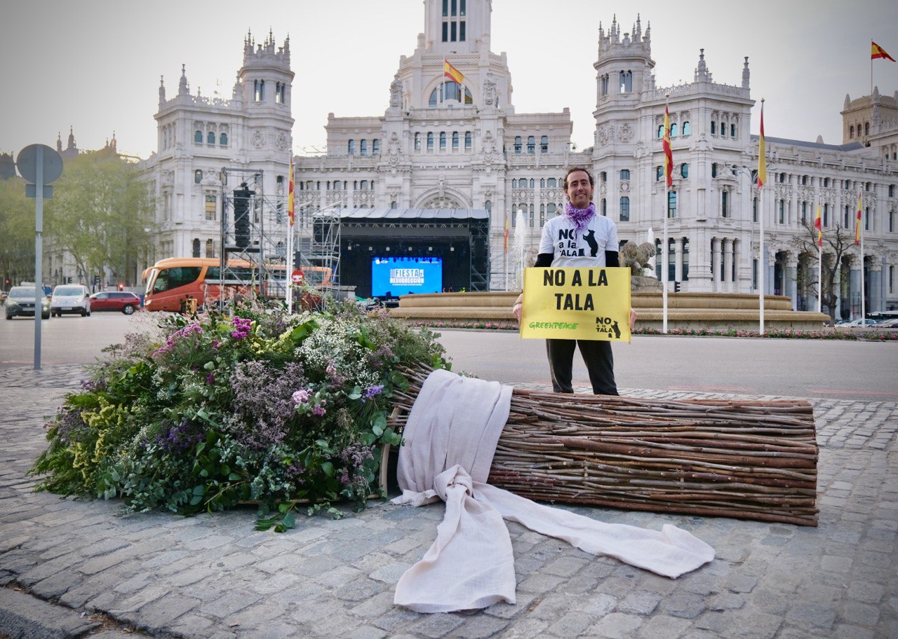 Greenpeace y NO A LA TALA entregan al alcalde de Madrid un ramo de 'boda' elaborado con ramas y troncos de podas y talas recientes.