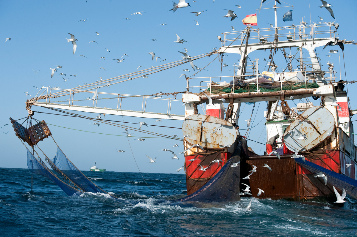 El arrastrero español 'Peix Mar Veinticinco', capturando langostinos en la costa de África occidental en el año 2010 