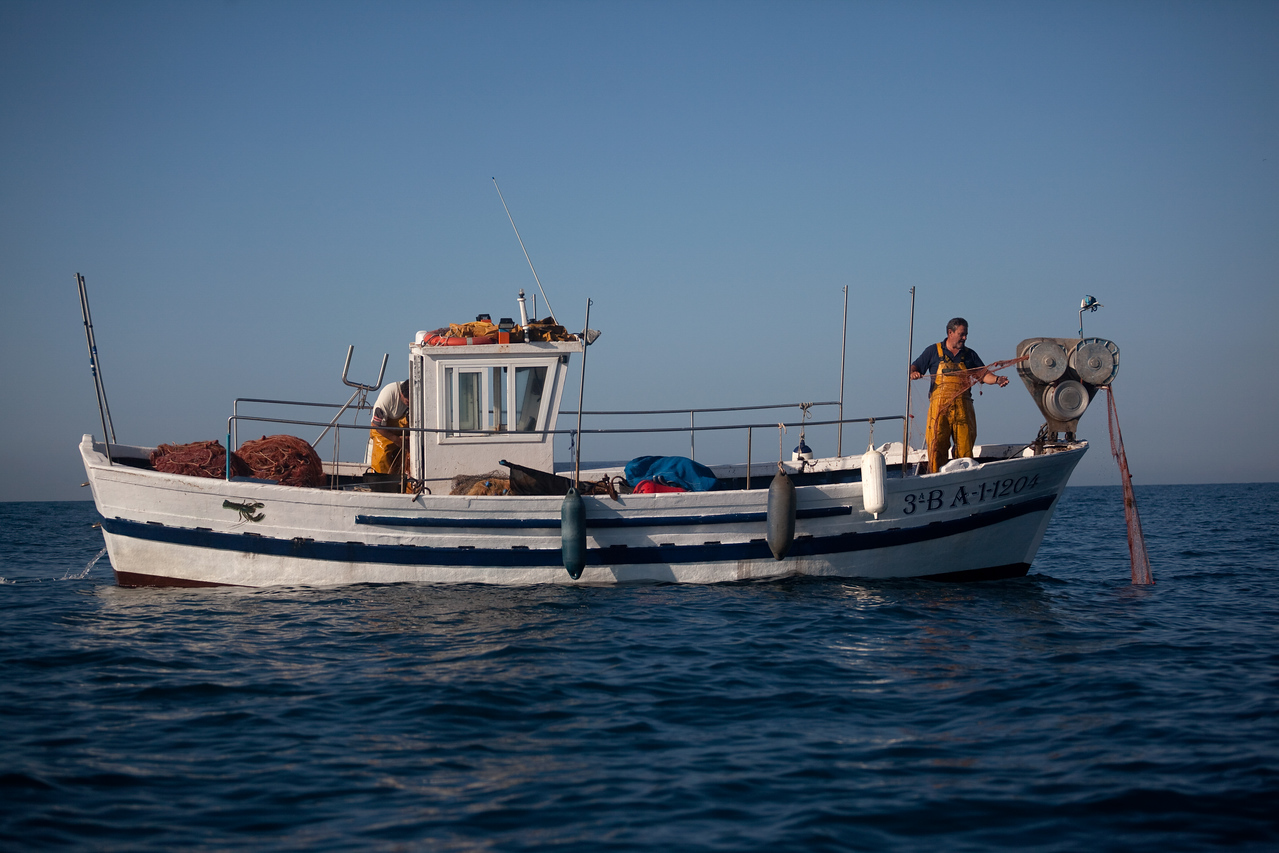 Un pescador de pesca con trasmallo recoge la red cerca de Sitges, Barcelona.