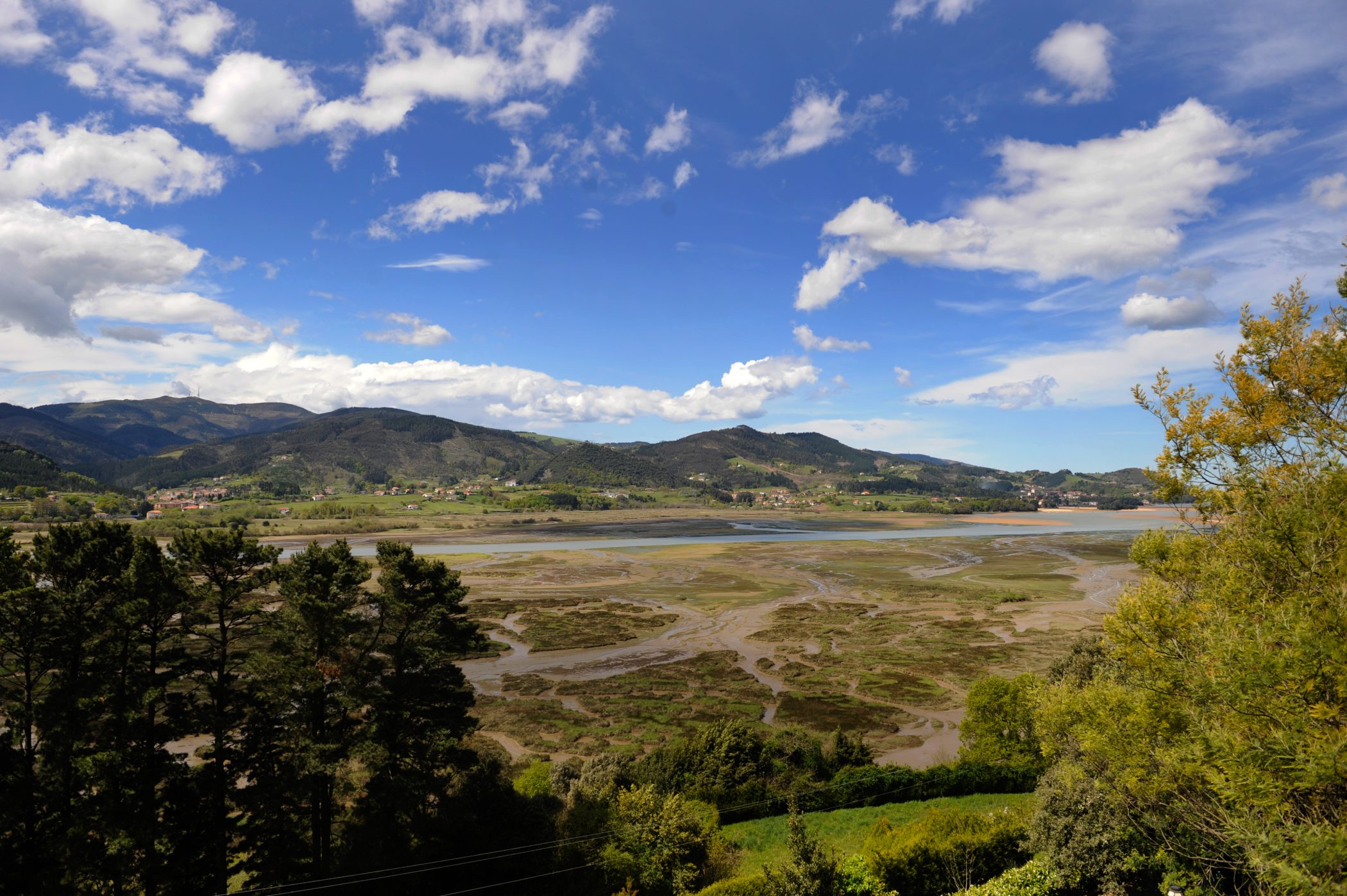 Reserva de la biosfera de Urdaibai. Vizcaya, Pa铆s Vasco, Espa帽a.