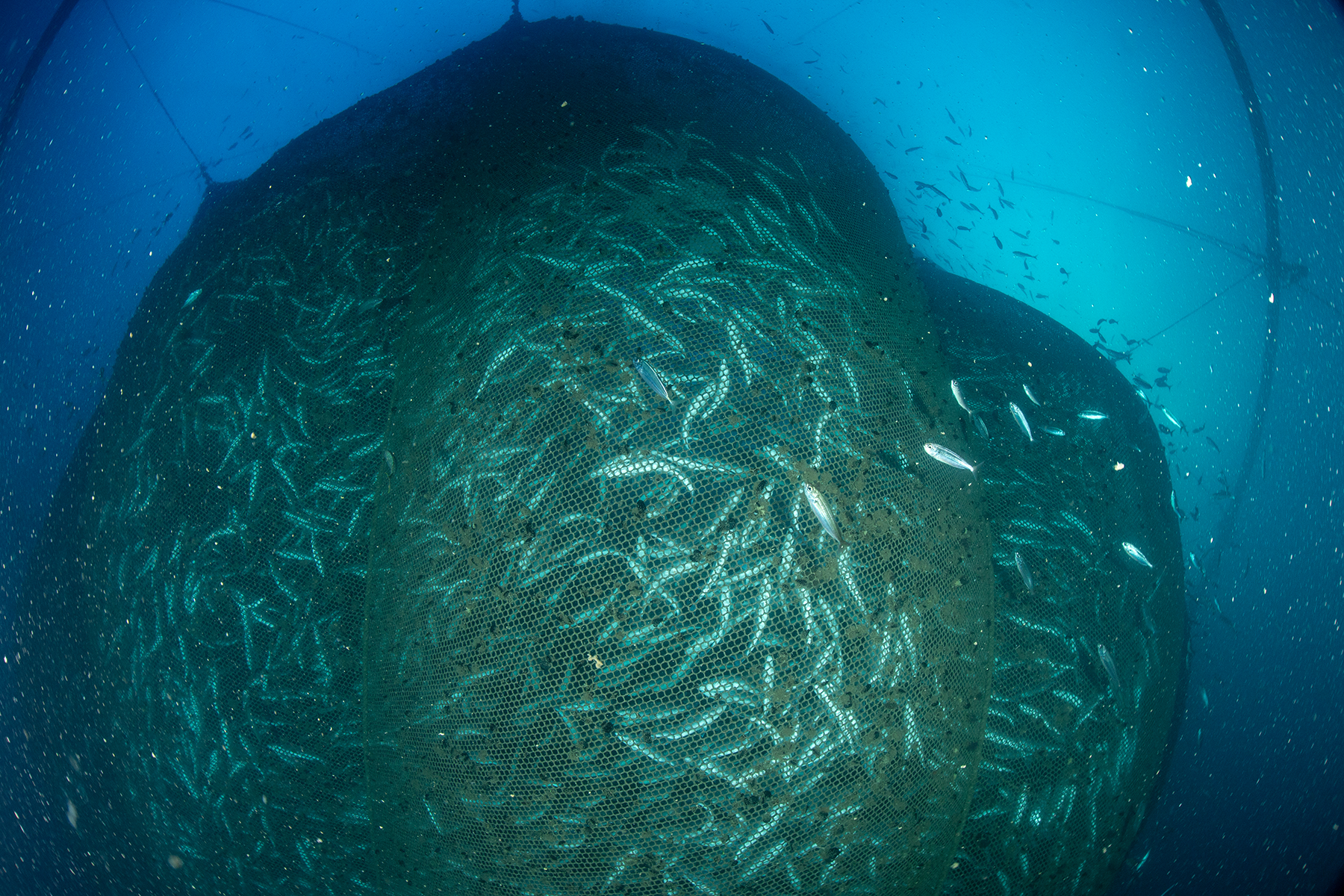 10/6/2024. Roquetas de Mar, Almería, Andalucía, España.
©Greenpeace/Joan Costa
