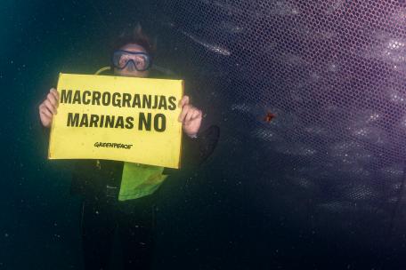 Buceador en macrogranja marina con pancarta contra las macrogranjas marinas