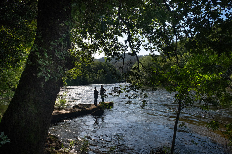 Río Ulloa, en Altri, amenazado