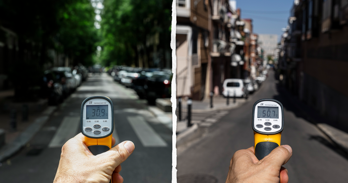 Más árboles, menos calor. ¡Ciudades más verdes ya!