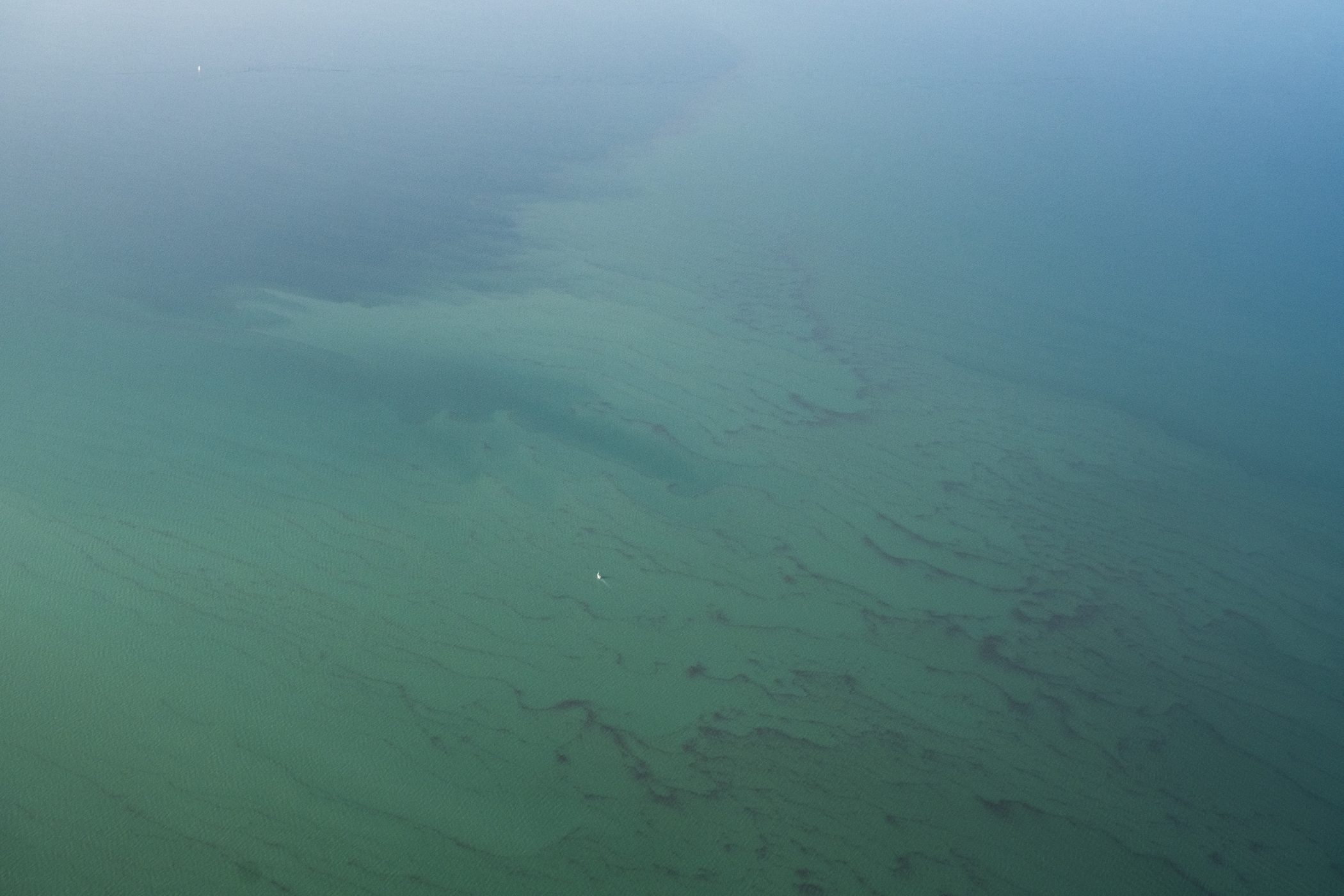 Imágenes aéreas mancha Mar Menor amenaza el ecosistema y biodiversidad