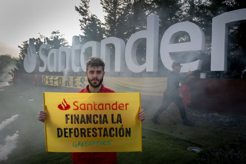 Santander deforesta los bosques