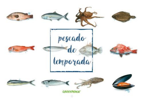 pescado_guia_2