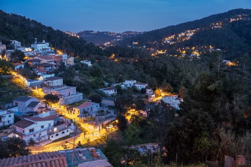 Informe Protege el bosque, protege tu casa